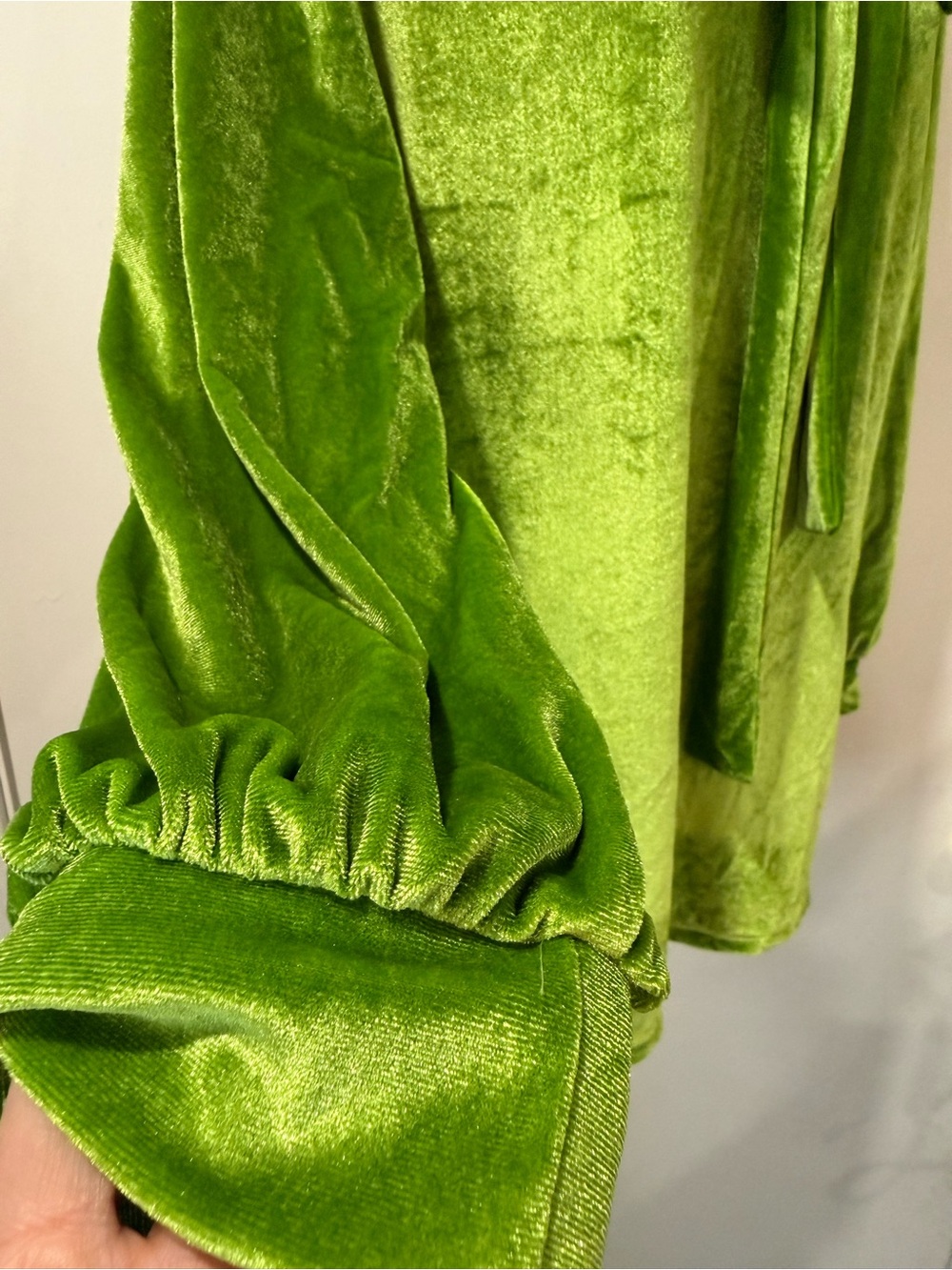 Velvet Tie-Neck Long Sleeve Top - Green (NWOT) - Picture 2 of 3
